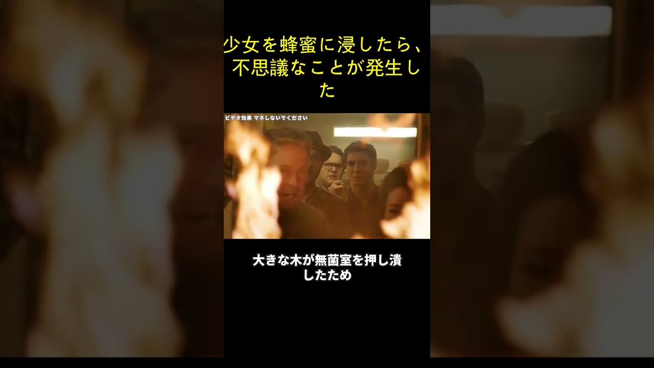 少女を蜂蜜に浸したら、不思議なことが発生した