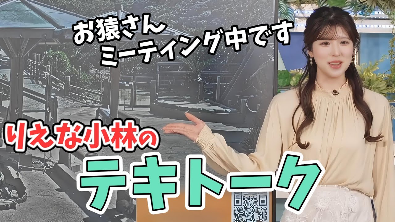 【小林李衣奈】お猿さんでテキトークする李衣奈ちゃん【ウェザーニュース切り抜き】