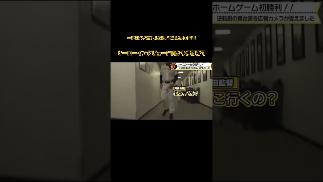 一緒にタバコ吸いに行きたい岡田彰布監督とヒーローインタビューに向かう伊藤将司選手 #阪神タイガース #プロ野球 #喫煙所 #タバコ #どんでん