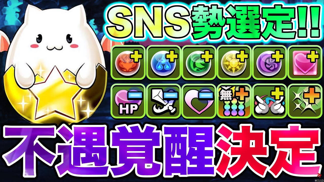 【パズドラ】SNS勢が選んだ！とある覚醒スキルのせいで強化が不遇だったので、不遇な覚醒スキルを決めたらあまりにも意外な結果すぎたwwwww 【SNS勢シリーズ】
