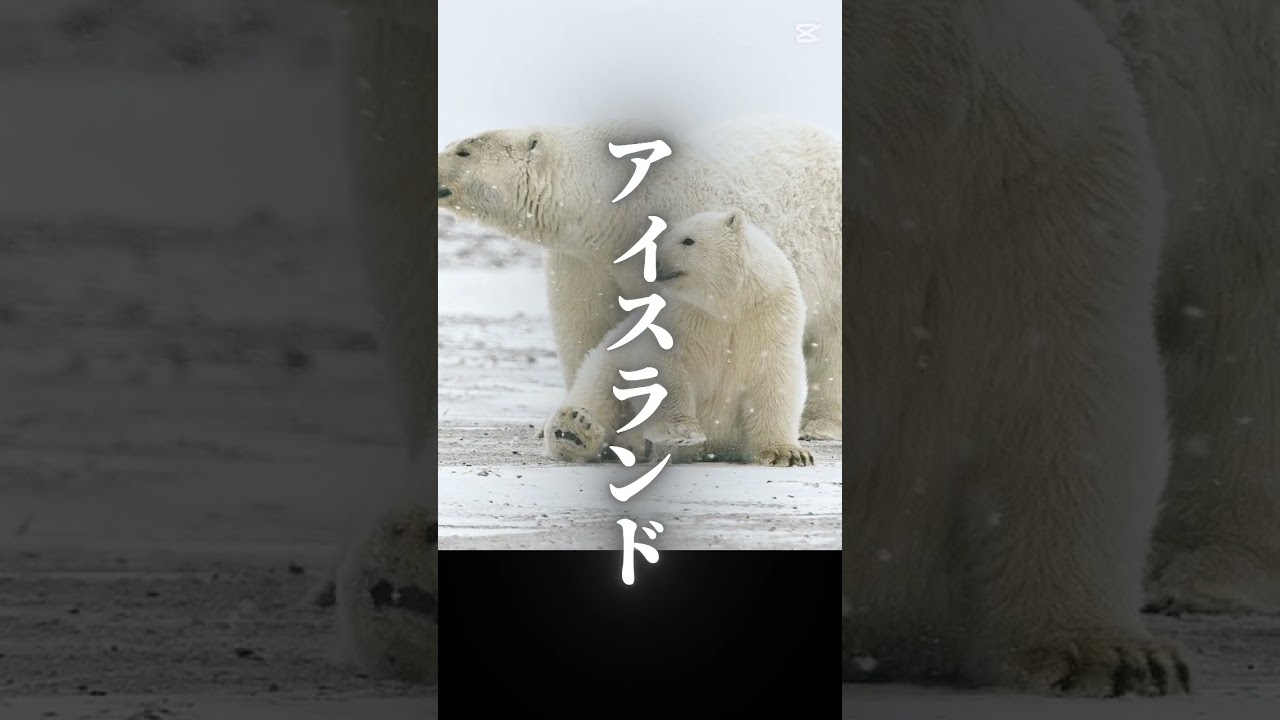 〜氷と炎の国〜　　#アイスランド #平和 #滝 #オーロラ #綺麗 #景色 #海外 #ヨーロッパ #bgm #曲 #海 #ショート動画 #ひまつぶし #かっこいい