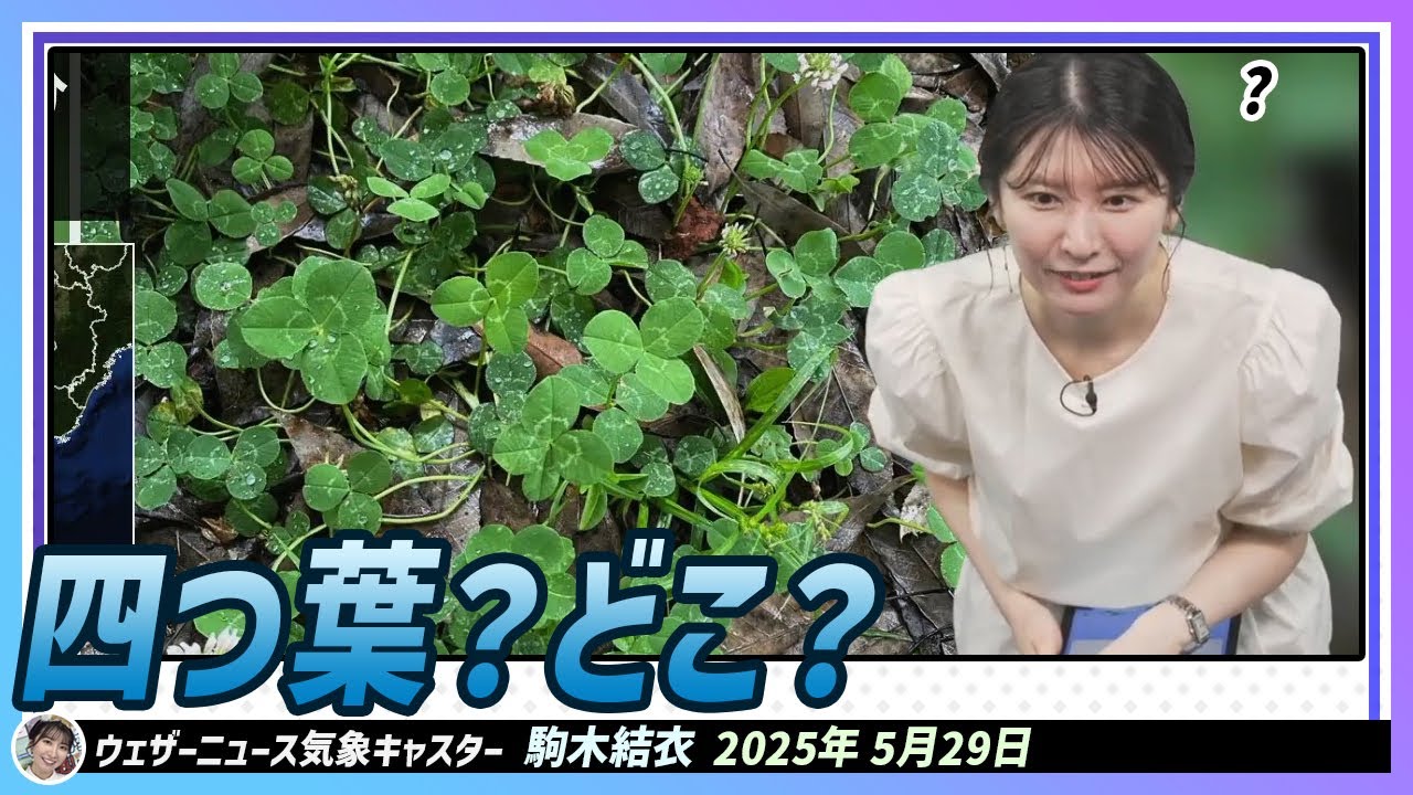 【駒木結衣】 楽しい四つ葉探しゲーム