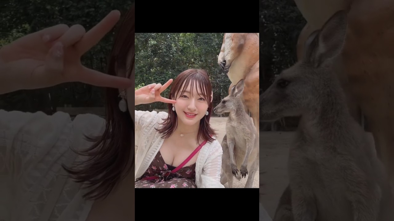 元HKT48 田島芽瑠 カンガルーと私 #オーストラリア
