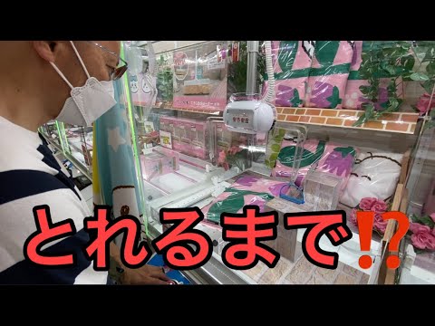 【柴犬飼い主55歳】柴犬留守番まかせ、担々麺で調子に乗ったハゲ、クレーンゲームで撃沈する。