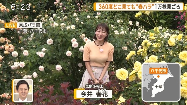 【画像】今日の今井春花さん　5.18