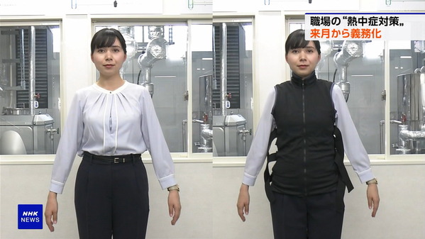 【画像】今日の荒木さくらさん　5.17