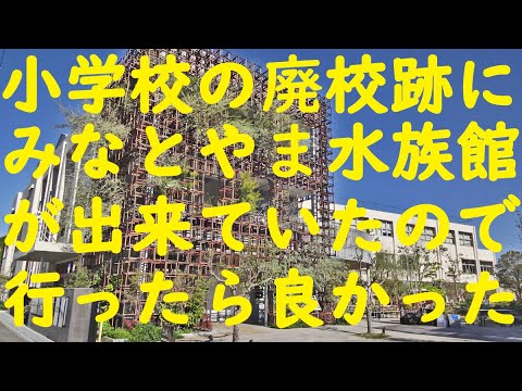 廃校になった小学校が水族館に生まれかわった、とても楽しい「みなとやま水族館」を紹介します、一部修正依頼が在ったので修正しました。