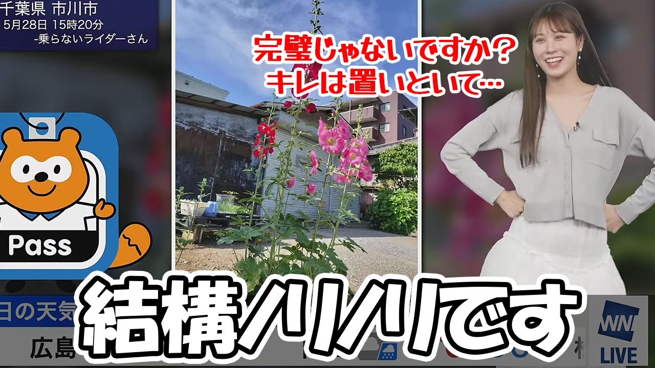 【戸北美月】番組では初めて披露するダンスに緊張してると言いつつ意外とノリノリなお天気お姉さん