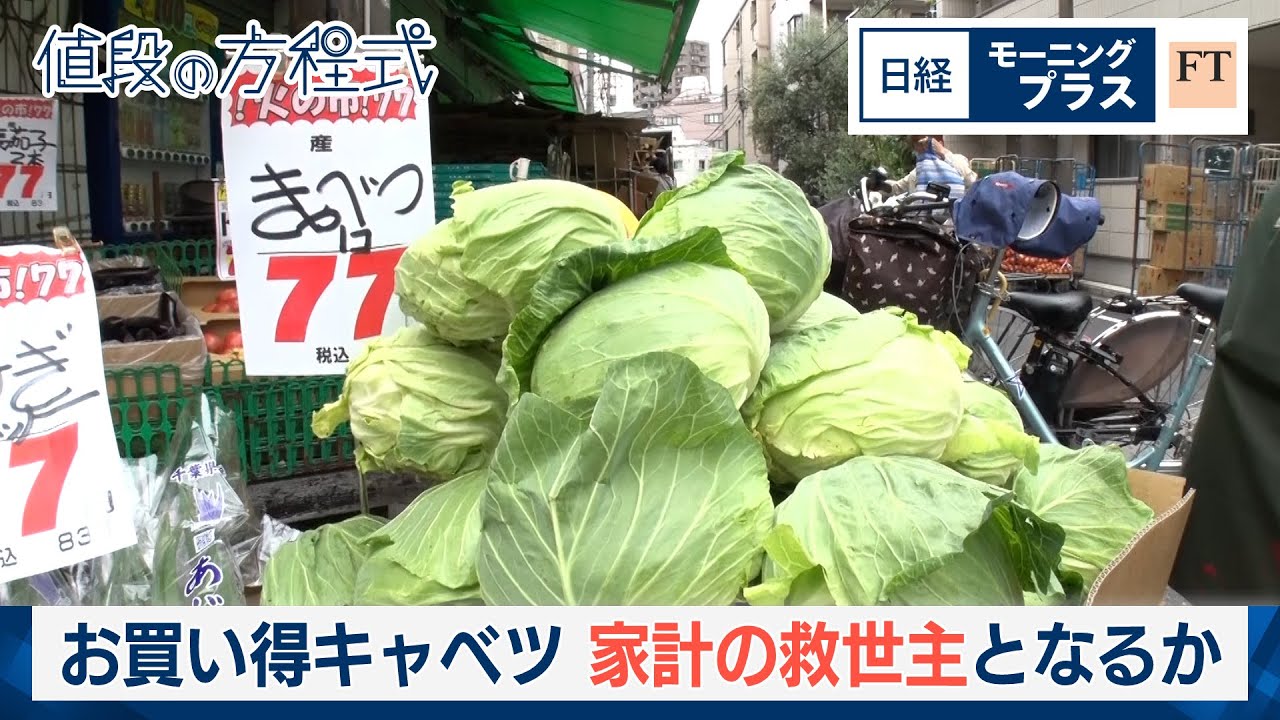 お買い得キャベツ　家計の救世主となるのか【日経モープラFT】