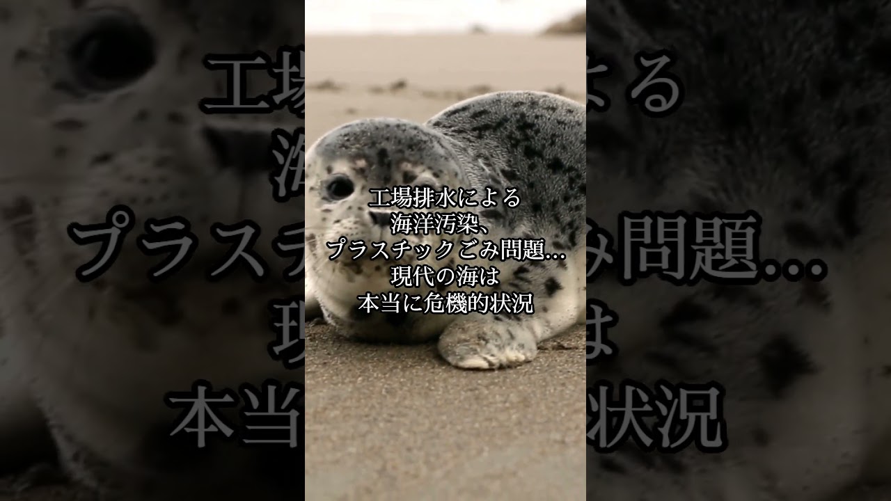 予言的中率100％ホピ族の予言「海が黒く変色し、多くの生物が死ぬ」　＃ホピ族の予言　＃予言　＃都市伝説