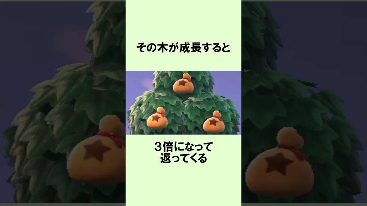 お金のなる木のまめ知識 #Shorts #あつ森 #どうぶつの森 #あつまれどうぶつの森
