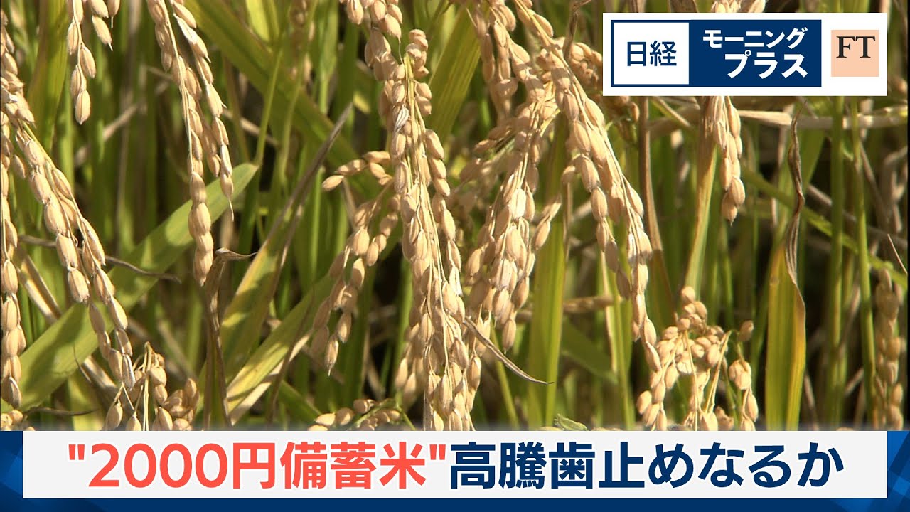2000円備蓄米　高騰歯止めなるか【日経モープラFT】