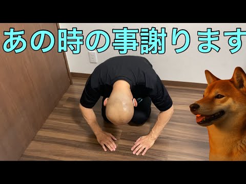 【柴犬飼い主55歳】55歳になって母親に謝ります。