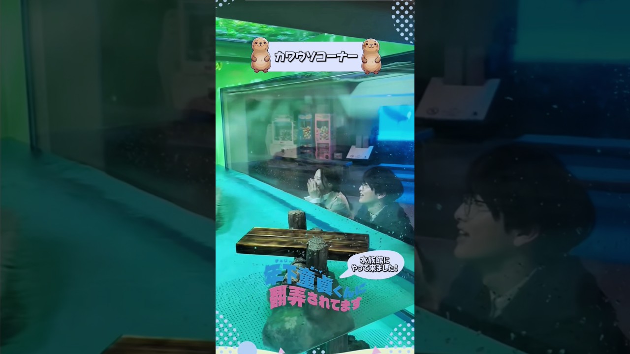 カワウソより可愛い#ハル くん #柏木悠 #森香澄 #超特急