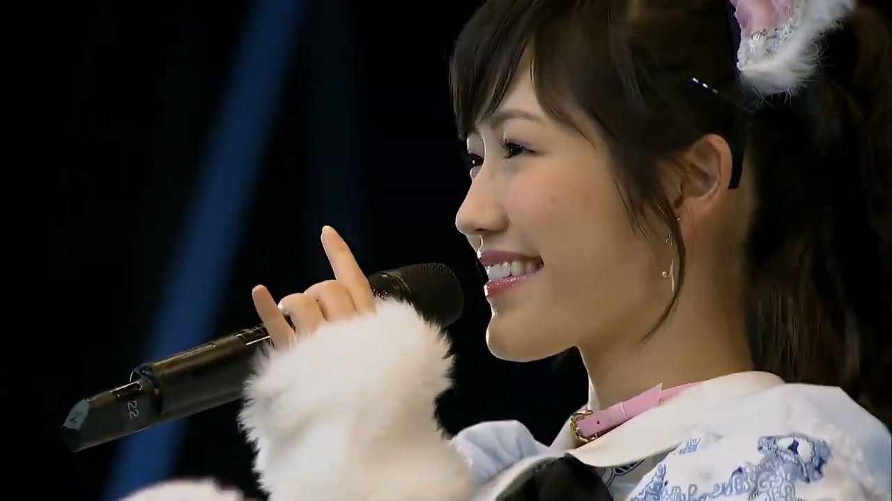 AKB48  ラブラドール・レトリバー  AKB48全国ツアー2014