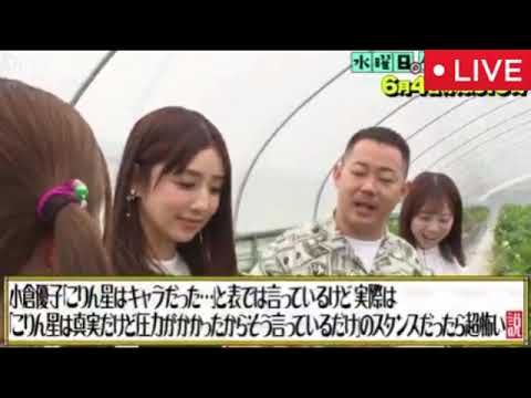 【水曜日のダウンタウン】小倉優子「こりん星は本当にあるけど圧力がかかったからキャラだった事にしてごまかしてる」のスタンスだったら超怖い説＜ザ・マミィ酒井/見逃し配信/フル無料＞水ダウ2025年6月4日