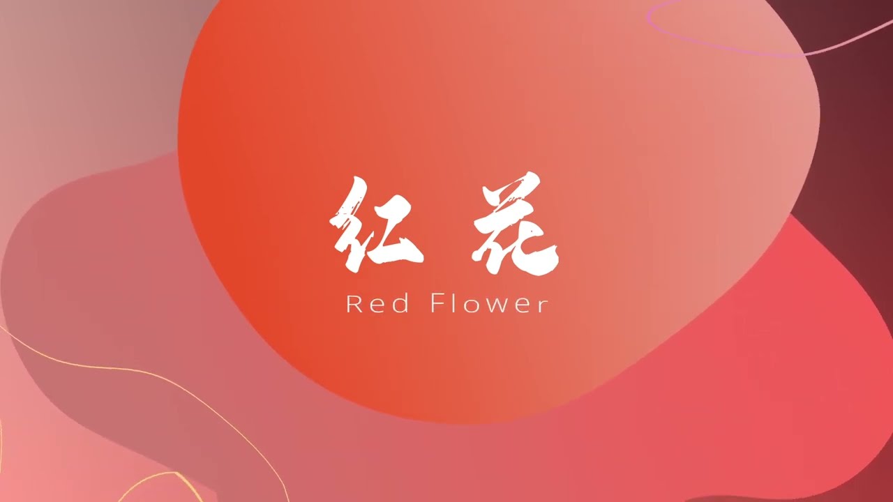 瑞鸣音乐《伊豆的舞女》红花（紅い花）/（木村浩子） | Red Flower