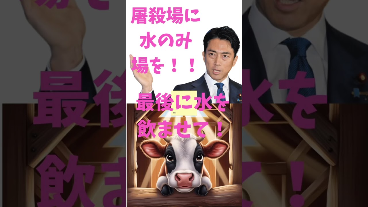 熱いトラックて長距離を水も与えられないで屠殺場に運ばれてくる家畜に最後の水をどうかどうか飲ませてあげて下さい‼️ ＃vegan ＃ビィーガン　＃小泉農林水産大臣＃滝川クリステル＃家畜＃屠殺場