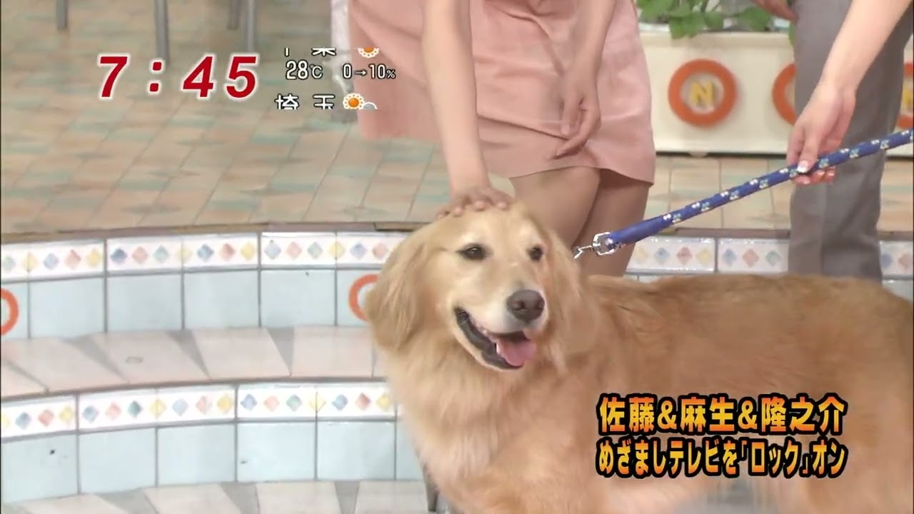 女子アナ　加藤綾子　めざまし