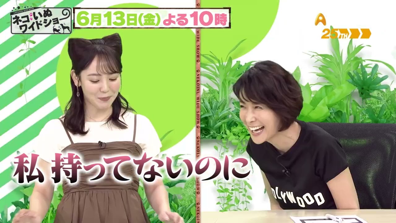 ゲスト：内田恭子【ネコいぬワイドショー】