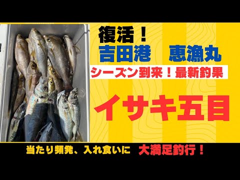 【復活！吉田港　恵漁丸】シーズン到来！イサキ五目最新釣果〜当たり頻発、入れ食い！〜