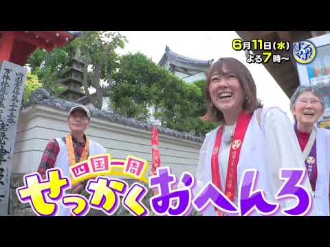 【番宣】四国一周せっかくおへんろ！▽滝 香織アナが高知へ！▽よるマチ！2025-06-11（水）よる7時！
