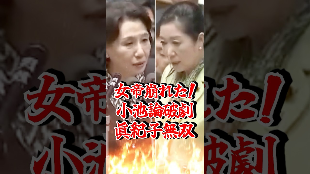 【小池百合子 崩壊】田中眞紀子が国会で完全論破！#政治 #国会答弁 #shorts