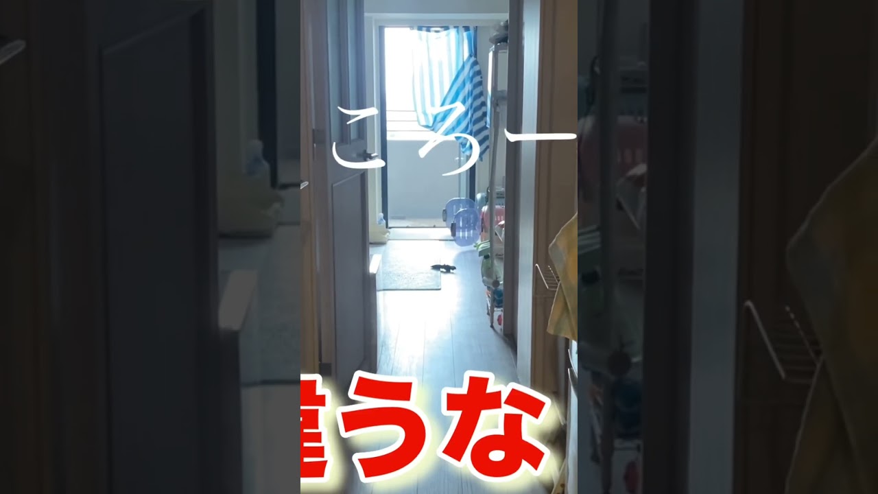 わざと犬の名前間違えて呼んだら！
