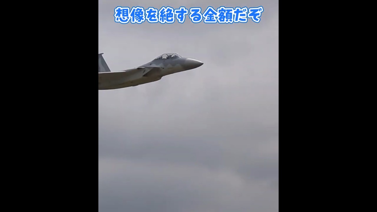 リアルジェットF-15 #ラジコン飛行機