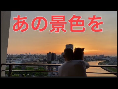 【柴犬飼い主55歳】くまころー待つ夕暮れ