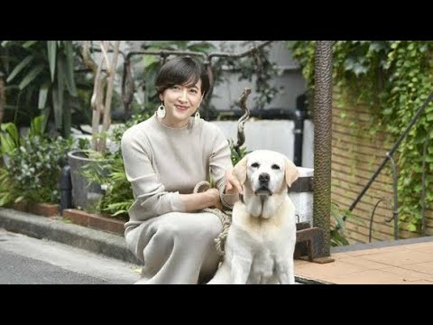 小泉進次郎さん・滝川クリステルさんが保護した愛犬〜アリスちゃん...（悲しくてやりきれない/多部未華子）