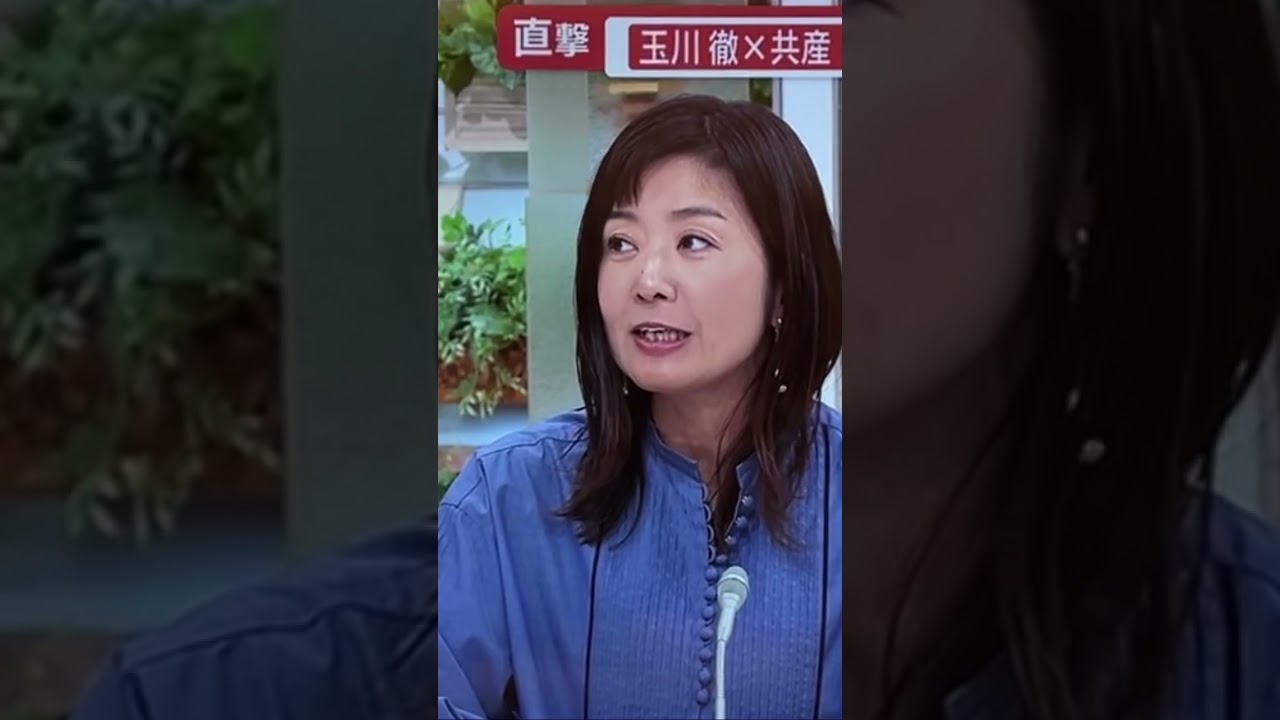 消費税は悪どころか極悪だ。こう言うこと言ってる奴に限って消費税の仕組みを知らないか知らんふり。非正規雇用増加も少子化も経済低迷も移民労働者増加も元凶は消費税。少しは勉強しろ #菊間千乃。