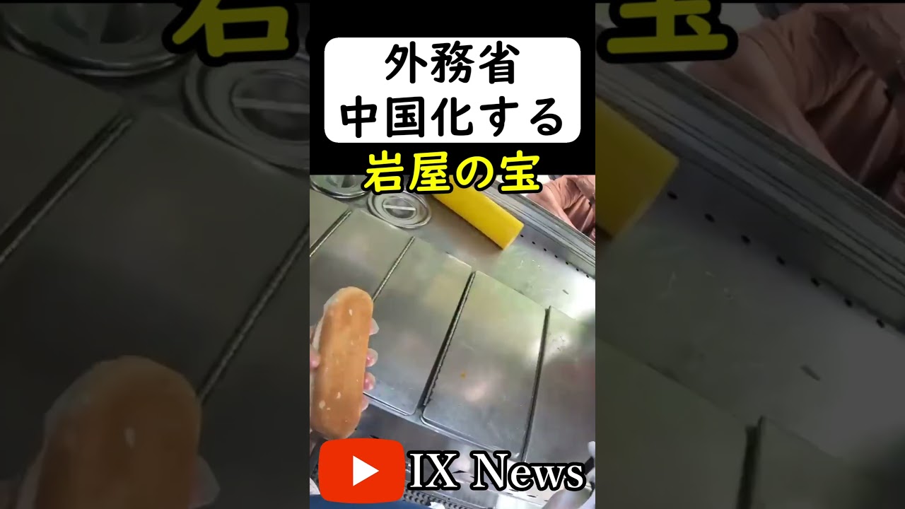 日本のパスポートが中国の国旗になる... #岩屋は責任をとれ