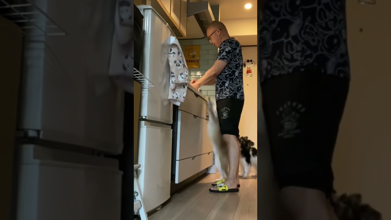 はやくメシだせ！