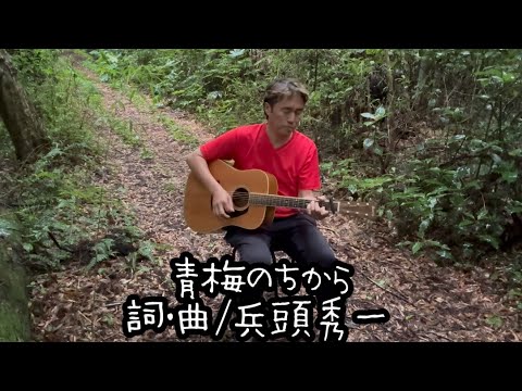 【都議選2025】選挙運動に中島みゆきの歌を使用することはNGだったという話。JASRACは OK、事務所がNG