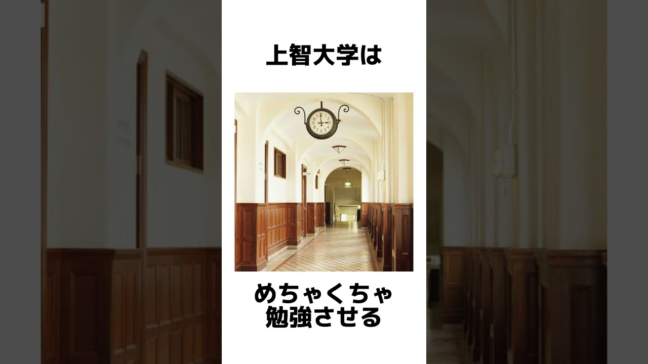 上智大学についての雑学 #上智大学 #雑学 #大学受験