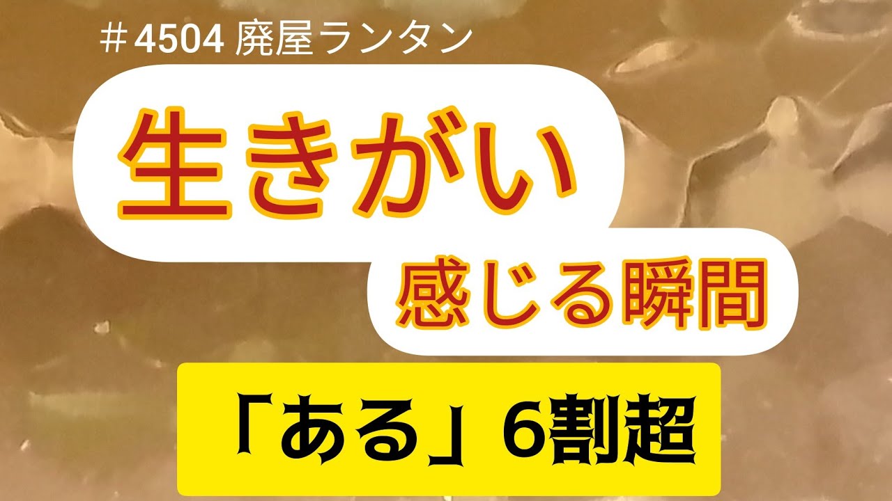 ＃4504 生きがい感じる瞬間「ある」6割超。10代から徐々に下降も50代で回復。楽しみありながら生きがい実感できない“生きがいスルー”も　ソニー生命     2025.6.11.