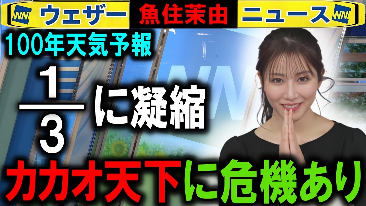 【魚住茉由】チョコレート滅亡の危機 ウェザーニュース特番