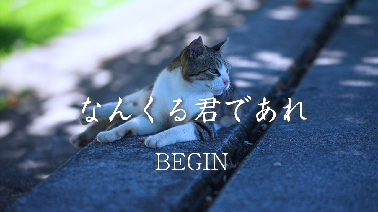 BEGIN / なんくる君であれ (Music Video)
