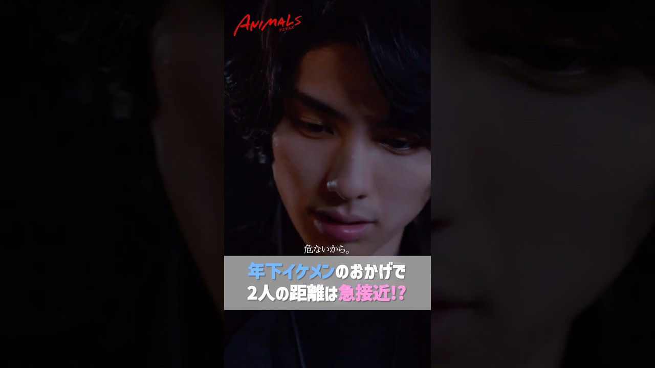 年下イケメンが取った大胆な行動で急接近…💓◤ドラマ🐯 #𝗔𝗡𝗜𝗠𝗔𝗟𝗦 - #アニマルズ -💄◢ 最高の自分に生まれ変わる"大逆転"ラブストーリー  #恋愛 #shorts