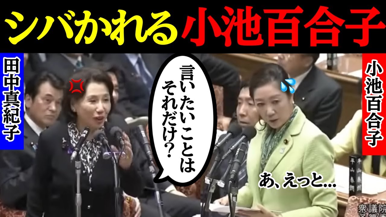 【伝説級】ナメた態度の小池百合子ｗｗすかさず"田中真紀子"がボコボコにシバいて拍手が起きる！！#自民党#高市早苗#国民民主党#玉木雄一郎#財務省#立憲民主党#れいわ新選組#参政党#日本保守党