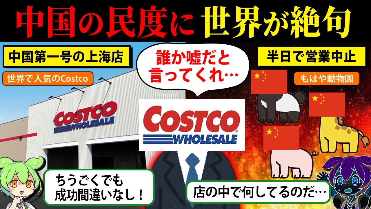 「中国人の民度がヤバすぎた」世界的チェーンCostcoがたった半日でスピード撤退した衝撃の理由【ずんだもん＆ゆっくり解説】