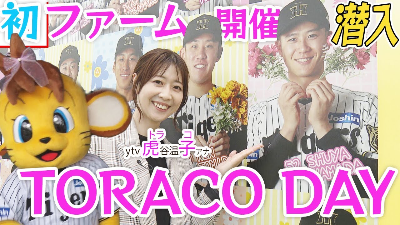【潜入】初ファーム開催「TORACO DAY」平田監督からメッセージも！