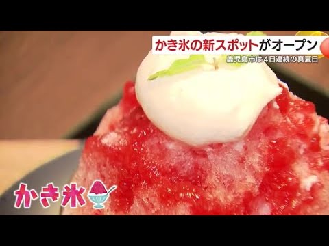 かき氷の新スポットがオープン　鹿児島市は4日連続の真夏日　 (25/06/18 18:46)