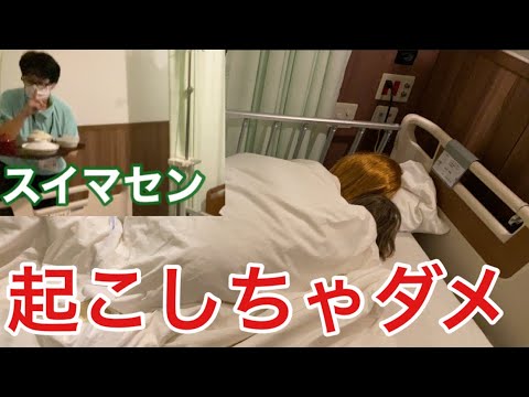 【柴犬飼い主54歳】お気遣い感謝