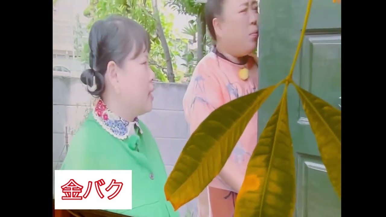 ＃ＯHK金バクに出演しました＃家族揃って鑑賞致しましたリアルな感想編集無し＃ニッチェさん中塚美緒アナスタッフさんありがとうございました