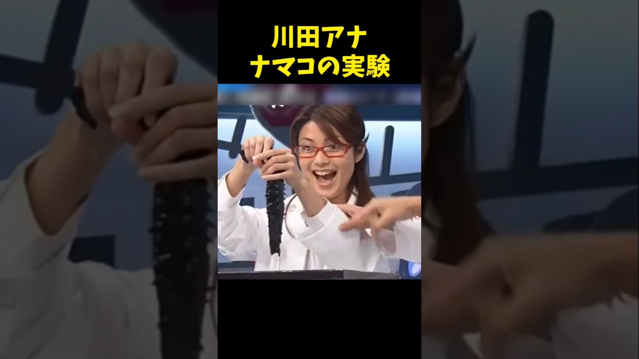 #川田アナ #実験 #ナマコ #ネプチューン #名倉潤 #原田泰造 #ホリケン #お笑い #美女 #女子アナ #shorts