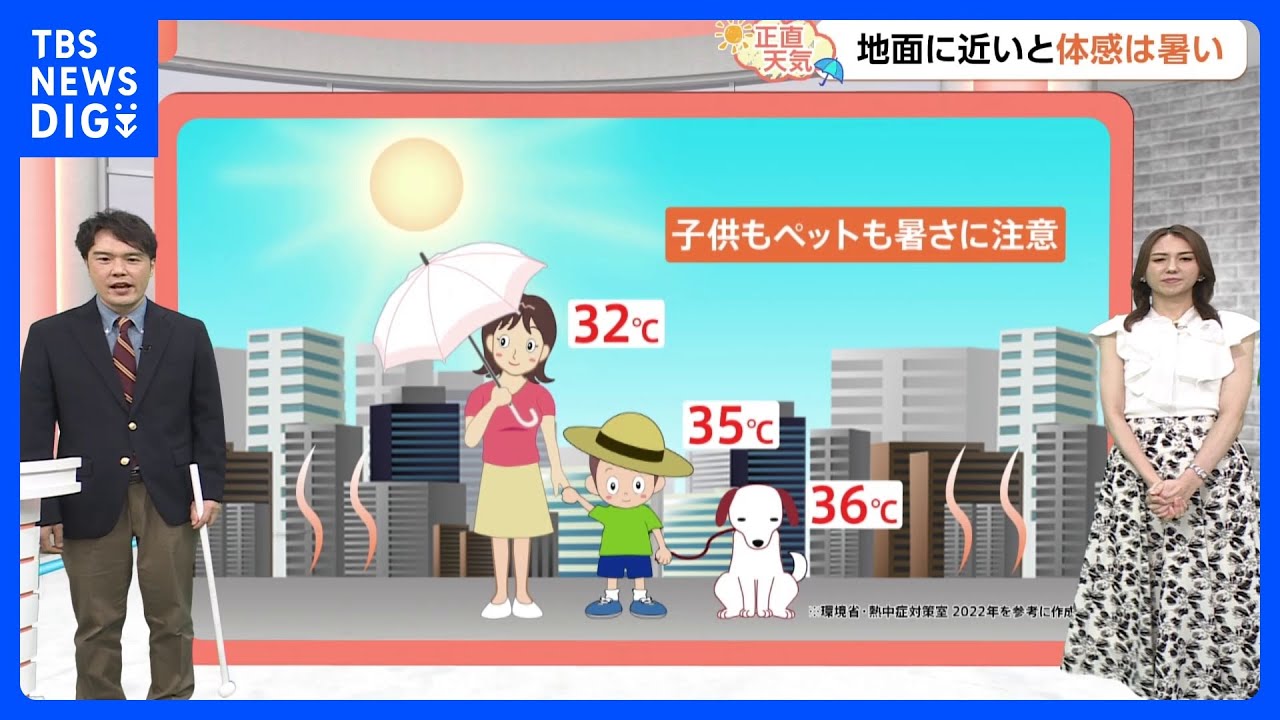 【6月19日 関東の天気】子ども・ペットはプラス3℃｜TBS NEWS DIG