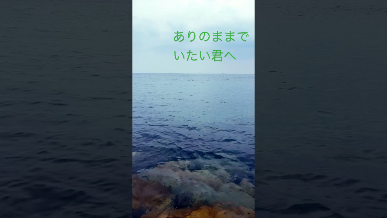 私が海を好きな理由🐠波風音ver #海 #癒し #リラックス #beach #歌詞動画 #恋愛 #japan #ocean #travel #平和