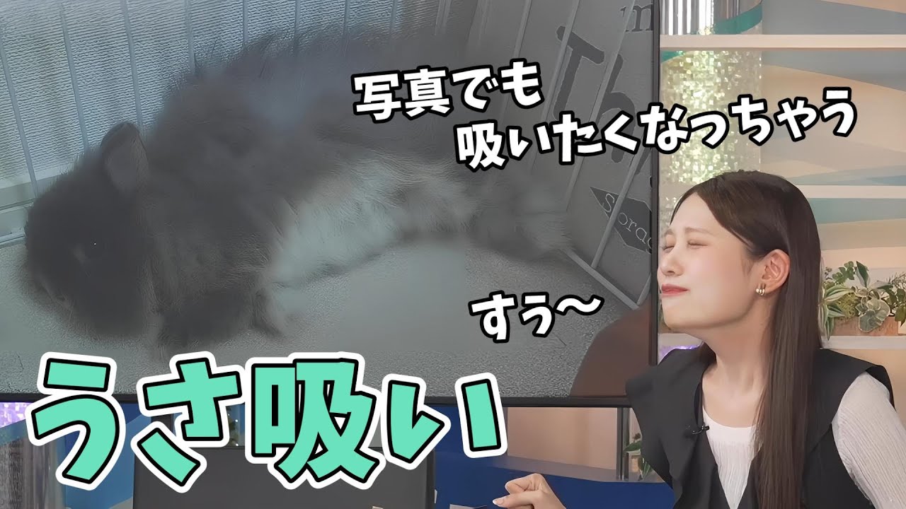【戸北美月】写真で「猫吸い」ならぬ「うさ吸い」をするみーちゃん【ウェザーニュース切り抜き】